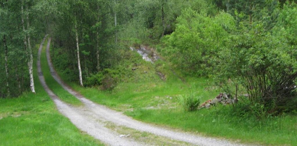 Det foreslås at man tar av før kystfortet og etablerer ny veg like sør for eksisterende veg opp mot det private vannverket. Grunnet stigning må det velges enn noe annen trasé enn eksisterende veg.