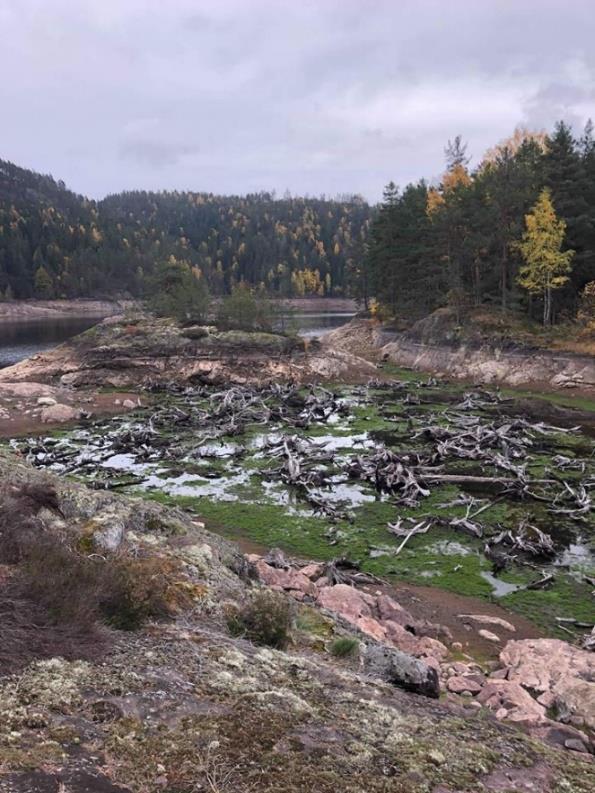 (sitat søker). Her vil det til enhver tid være strømninger, og dermed usikker is. Vi kan pr. i dag ikke se hvor forsvarlig nedkomst til isen vil være.