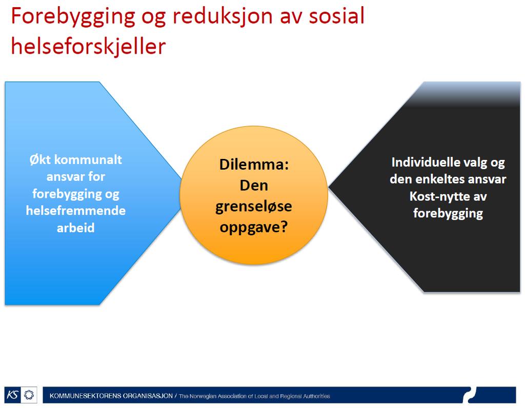 utfordring å koble tiltak som koster, til investeringsperspektivet i det daglige. Observasjon: inaktivitet ble ikke nevnt som mulig årsak til ulikhet i helse.