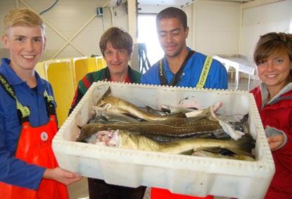 Cathrine Karlson har vært på havet med «Klævtind» og kommet på land med 2,5 tonn. Det ga mersmak. Henter kunnskap nedenfra Lite fisk, men mye kunnskap.