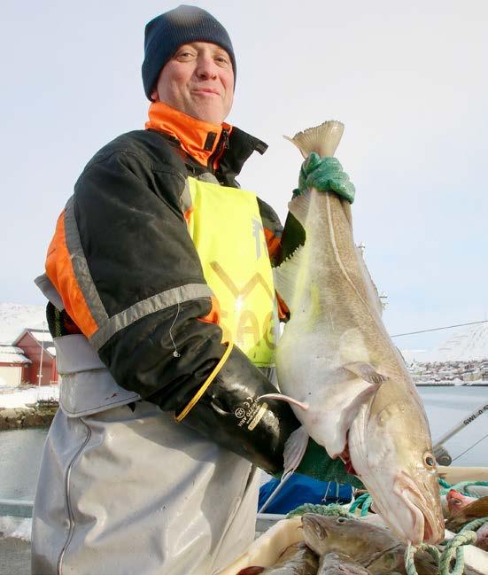 Det er nå det skjer - Skal vi henge fisk, må vi gjøre det nå, sier daglig leder ved Riksheim Fisk AS, Ragnar Riksheim. Fra mottaket på Sauøya er det gått 40-50 tonn til henging.