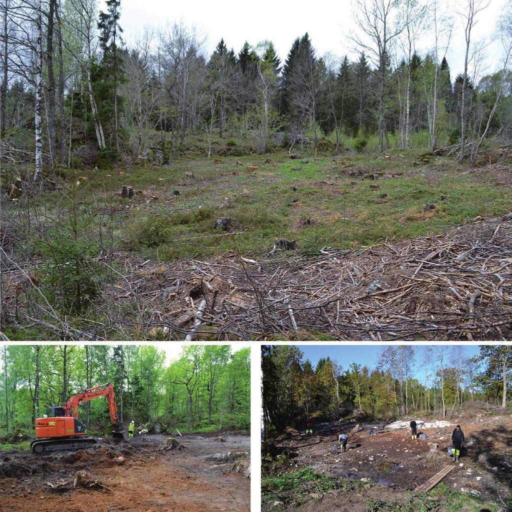 Lotte Eigeland og Guro Fossum HEGNA VEST 4 361 Figur 24.4. Øverst: Hegna vest 4 slik den framsto før maskinell avtorving, mot nordvest. Nederst: lokaliteten under maskinell avtorving og utgravning.