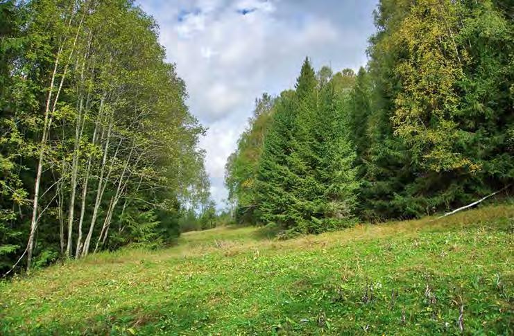 Dette gjelder også for hele Finnskogen, hvor det er mange slike ferdselsårer bevart. Dette har også bidratt til at Finnskogen er et attraktivt turmål for turister.
