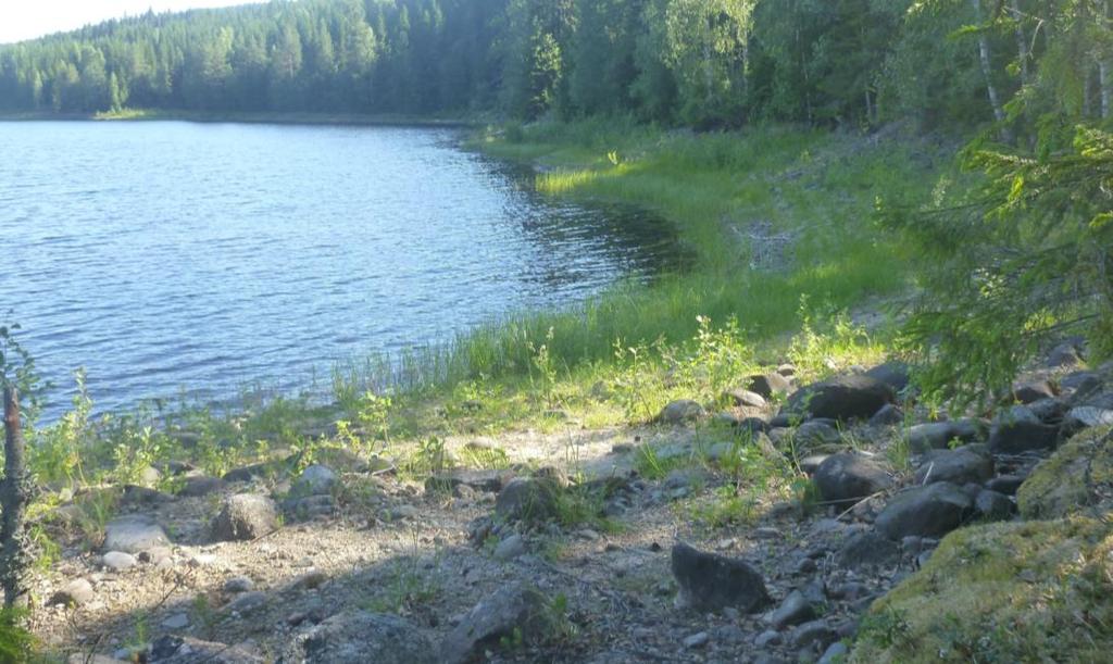 Figur 10: Ny strandlinje under etablering sør i magasinet, bildet er tatt i juli 20