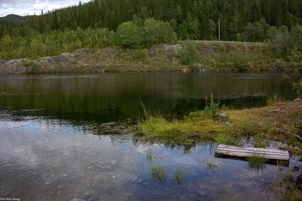 Figur 7. Lokalitet 155-90734. Lokaliteten er noe innsjøpreget med lav gjennomstrømming og sterkt påvirket av reguleringen av Røssvannet.