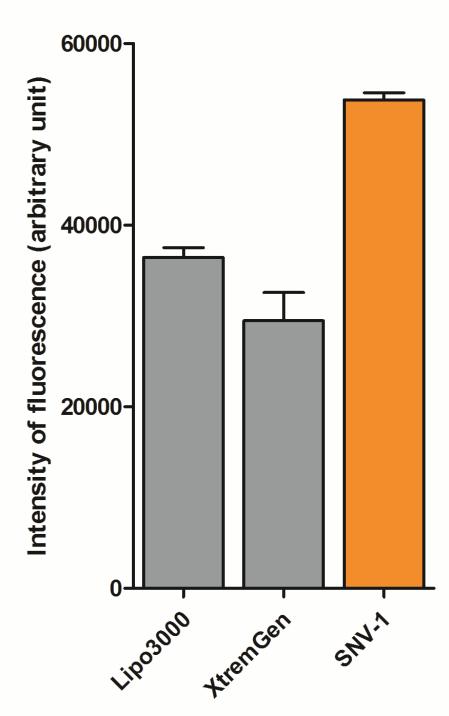 New tools SNV-1 SNV-1 ptimized for the