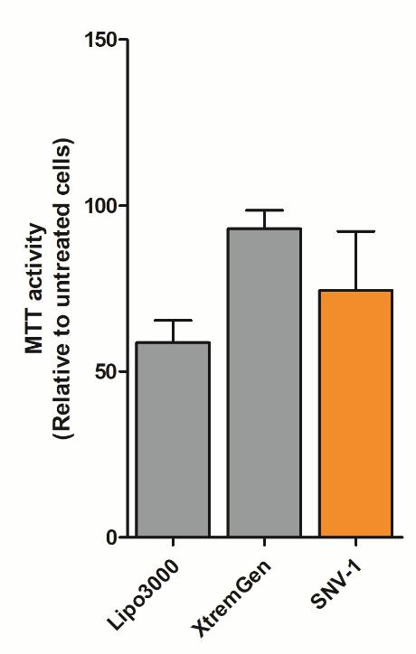 fluorescence Side-effects MTT assay 40 % 3/12