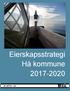 Eierskapsstrategi Hå kommune