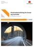 Kostnadsutvikling for bruer og tunneler