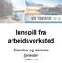 Innspill fra arbeidsverksted