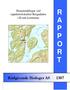 Straummålingar ved oppdrettslokalitet Bergadalen i Kvam kommune R A P P. Bergadalen O R T. Rådgivende Biologer AS 1307