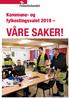 Kommune- og fylkestingsvalet 2019 VÅRE SAKER!