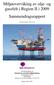Miljøovervåking av olje- og gassfelt i Region II i 2009 Sammendragsrapport