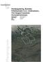 Detaljregulering, Bustader, fritidsbustader m.m. «Smårustene», Ytre Haugen/Gausemel, Hornindal kommune Oppdragsgjevar: Rapport type: Dato: Revidert: