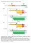 Supplemental Data. Wiludda et al. Plant Cell. (2012) /tpc