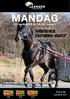 MANDAG. Folkehesten Cherubino starter! Leangens 3 årsserie kbl. 27. april 2015 kl. 18.15 - løpsdag 17. Pris kr 25,- 1. løp start kl. 18.