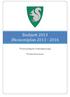 Budsjett 2013 Økonomiplan 2013-2016