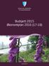 Budsjett 2015 Økonomiplan 2016 (17 18)