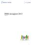 HMS årsrapport 2013. Versjon: 1.0