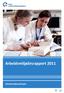 Arbeidsmiljøårsrapport 2011