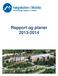 Rapport og planer 2013-2014