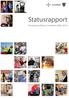 Statusrapport. Prosjektutvikling i InnoMed 2006-2010