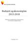 Budsjett og økonomiplan 2015-2018