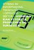 STYRING AV INFORMASJONS TEKNOLOGI I OFFENTLIG SEKTOR HVORDAN KAN VI FORSTÅ PROBLEMER OG SUKSESSER?