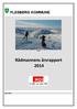 FLESBERG KOMMUNE. Blefjell. Rådmannens årsrapport 2014