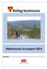 Rollag kommune. Fotokonkurransen 2012, bildet fikk publikumprisen. Rådmannens årsrapport 2014