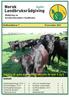 Satsing på auka storfekjøttproduksjon Se side 4 og 5