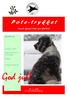 God jul! P o t e - t r y k k e t. Norsk Spaniel Klub avd. Østfold. Les mer om: Nr. 4. 2008. Hva skjer i 2009? Bilder og referat fra Familiedagen