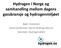 Hydrogen i Norge og samhandling mellom dagens gassbransje og hydrogenmiljøet