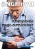 Funksjonelle mage-tarmlidelser