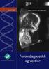 RAPPORT ÅPENT MØTE 31. OKTOBER 2003 B I O T E K N O L O G I N E M N D A. Fosterdiagnostikk. og verdier BIOTEKNOLOGINEMNDA