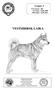 VESTSIBIRSK LAIKA. Gruppe: 5. FCI rasenr: 306 FCI dato: 03.06.1980 NKK dato: 22.06.2011