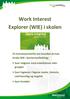 Work Interest Explorer (WIE) i skolen