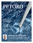 PETORO PERSPEKTIV 2014