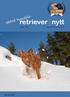 aktivt hundeliv nytt retriever medlemsblad for norsk retrieverklubb ISSN:1501-3790