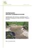 Rapport 4-2009 Oppfølgingsplan Dammane Landskapsvernområde