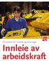 Innleie av arbeidskraft