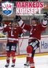 Lillehammer Ishockeyklubb sesongen 2013/2014