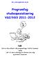 Programfag studiespesialisering VG2/VG3 2011-2012