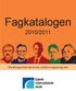 Fagkatalogen 2010/2011. Gjøvik videregående skole. Studiespesialiserende utdanningsprogram