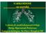 SARKOIDOSE en oversikt. 1.aman.dr.med/seksjonsoverlege Helge Bjørnstad-Pettersen Lungeavdelingen, St.Olavs Hospital HF
