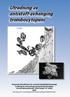 Utredning av antistoff-avhenging trombocytopeni