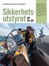 Sikkerhets utstyret bit