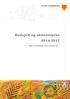 Budsjett og økonomiplan 2014-2017