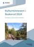 Kulturminnevern i Buskerud 2014. Årsrapport team kulturminnevern