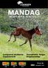 MANDAG. OBS! 1. løp start kl. 18.15. 20. april 2015 kl. 18.15 - løpsdag 16. Trondheim Torgs Ungdomsløp. Langland stutteris hoppeserie.